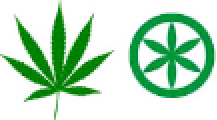 disegno stella e marijuana  